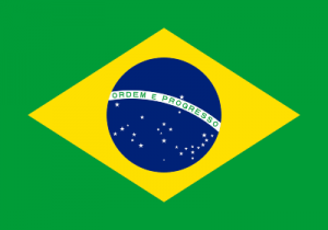 Brazil flag digital assets